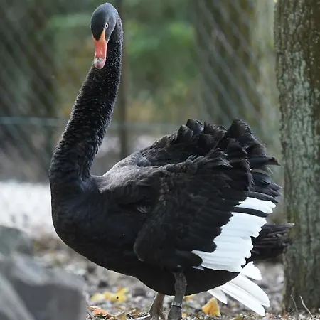 Zevenbergen פארק נופש