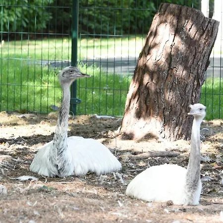 Zevenbergen Holiday park *