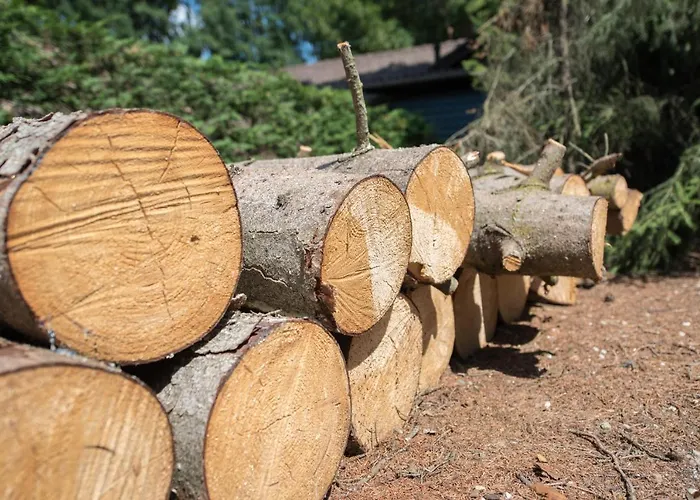 Holiday park Zevenbergen Heesch