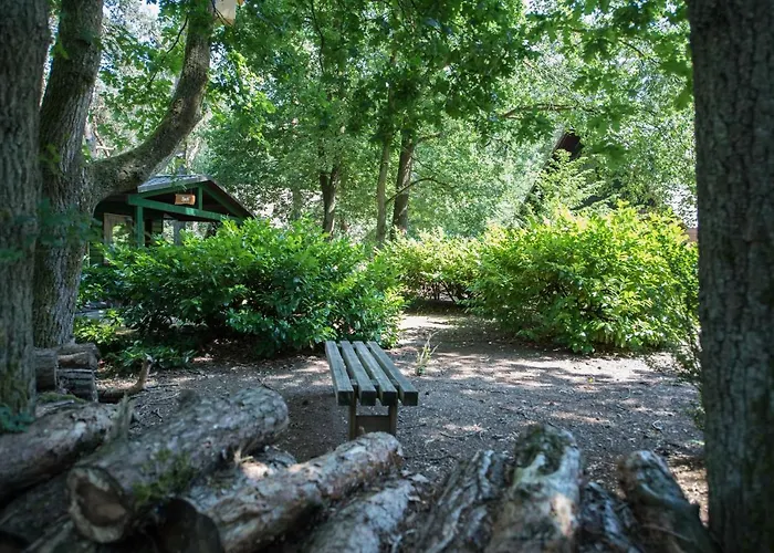 Holiday park Zevenbergen