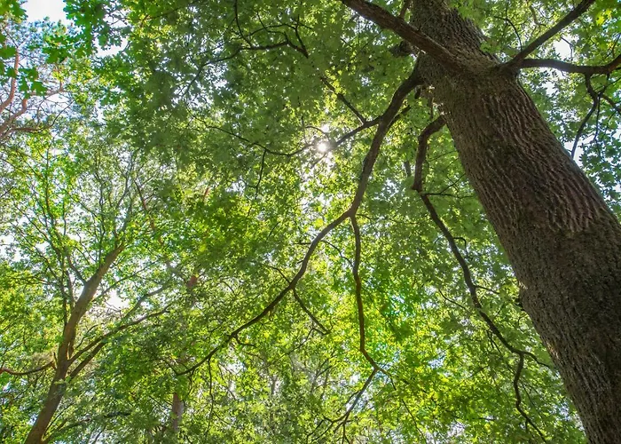 Zevenbergen 假日公园 Heesch