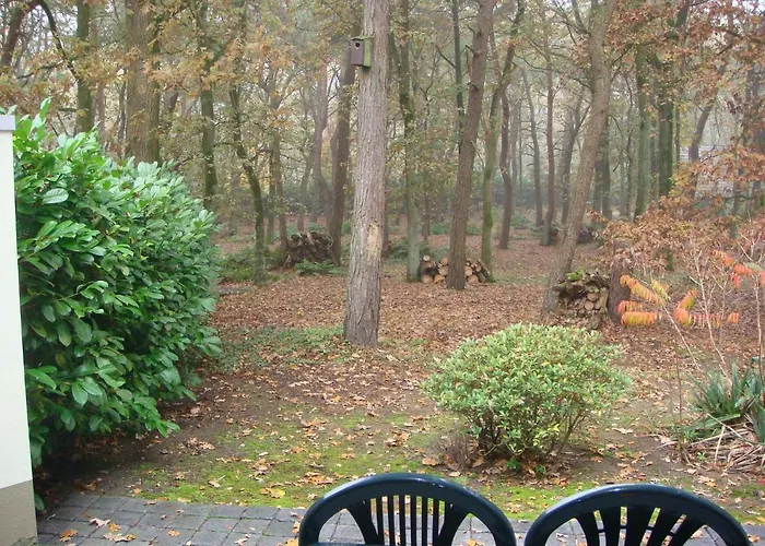 Holiday park Zevenbergen *