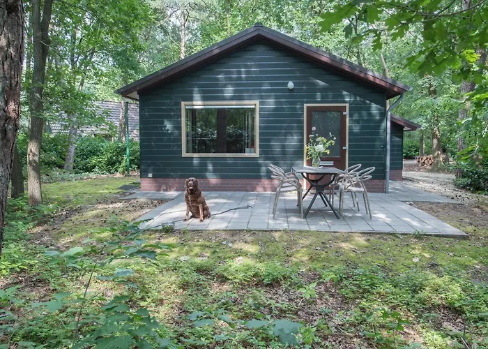 Zevenbergen Kompleks wypoczynkowy Heesch