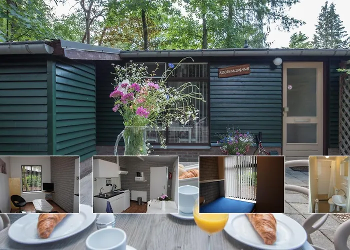 Zevenbergen Holiday park Heesch