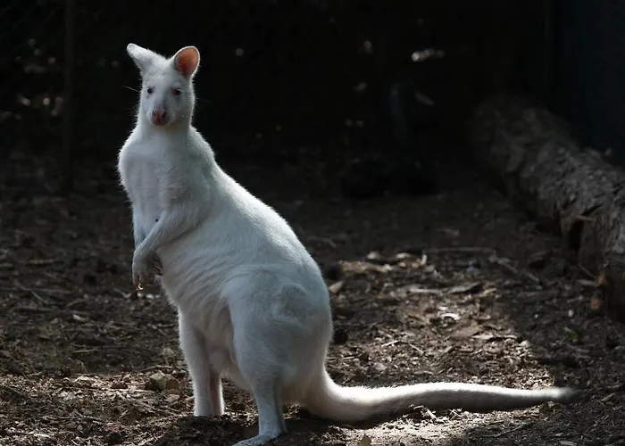 Zevenbergen Πάρκο διακοπών