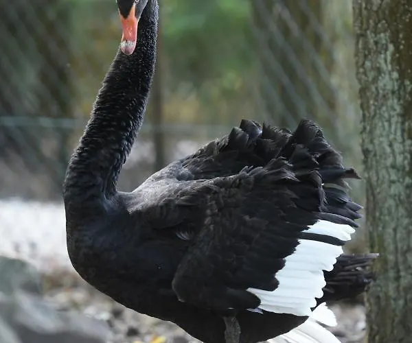 Zevenbergen Πάρκο διακοπών