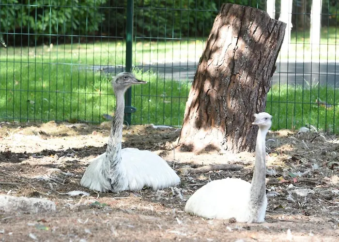 Zevenbergen Holiday park *