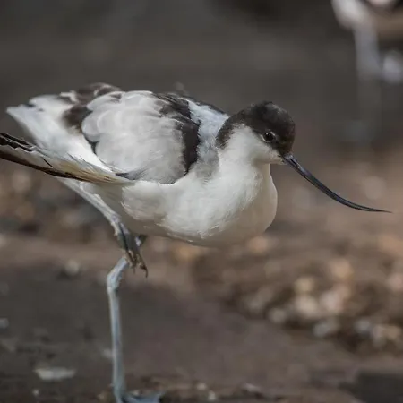 ホリデーパーク Zevenbergen Heesch