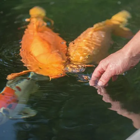 Zevenbergen Prázdninový areál