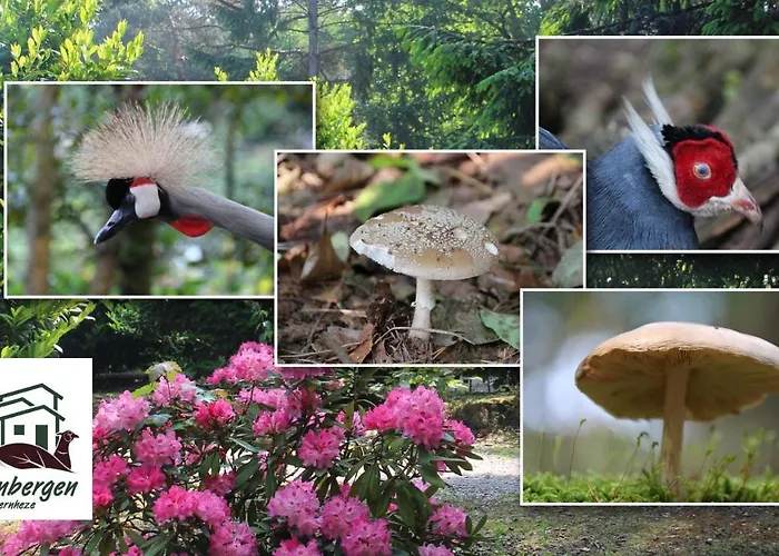 Zevenbergen Prázdninový areál Heesch