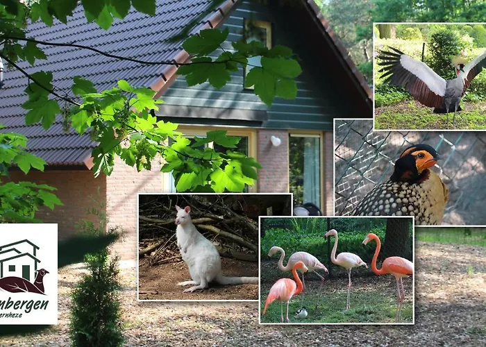 Zevenbergen * Heesch