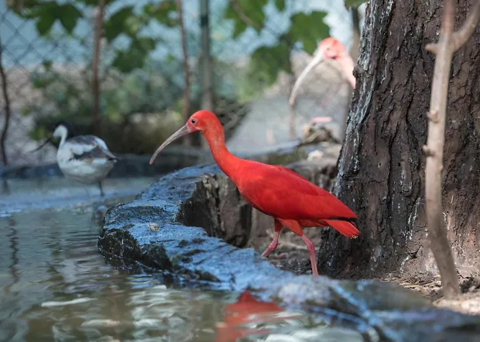 Zevenbergen Prázdninový areál *