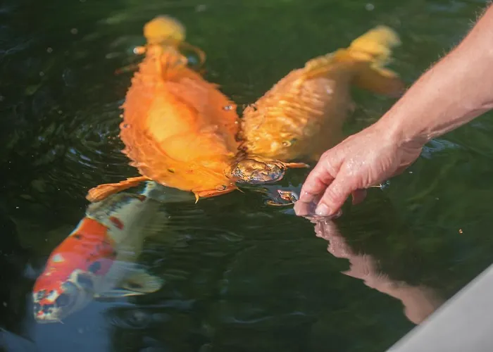 Zevenbergen Prázdninový areál